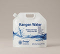 5 L Water Bag Original